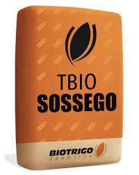 Semente trigo TBIO SOSSEGO Tratamento Saluzi 1ml + Vitavax Thiran 2,5ml